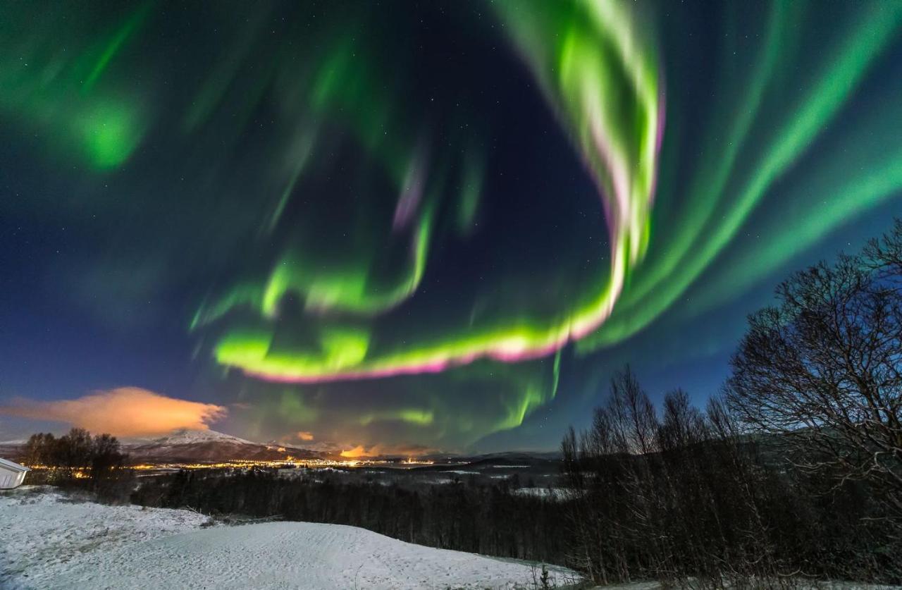 Aurora Borealis Observatory Silsand 외부 사진